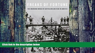 Big Deals  Freaks of Fortune: The Emerging World of Capitalism and Risk in America  Free Full Read