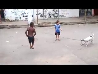 Dog is man's best friend