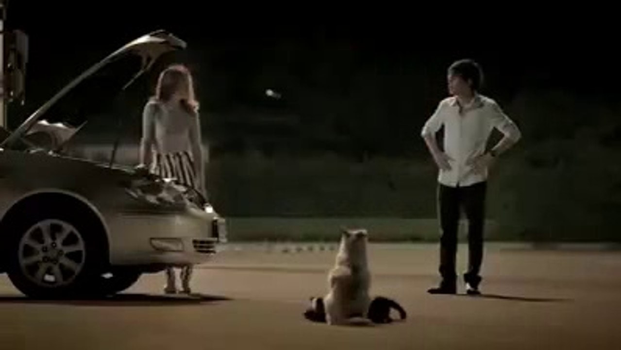If you don't want to cry, don't watch this video