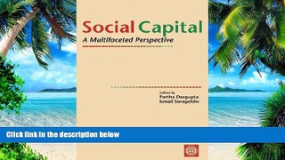 Big Deals  Social Capital: A Multifaceted Perspective  Free Full Read Best Seller