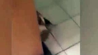 Funny Videos  Mouse catching cat 7446