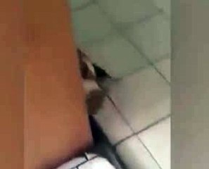 Funny Videos  Mouse catching cat 7446