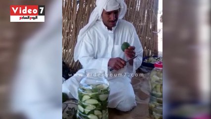 كيفية تخليل البطيخ فى شمال سيناء