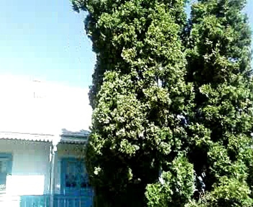 Mălini - 28 august/2016