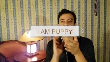 Everything by Michael Buble (Cover) - IAMPUPPY