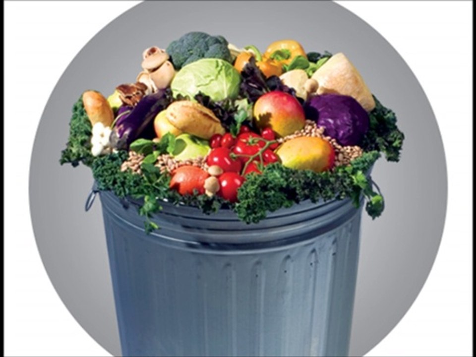 Food Waste 2