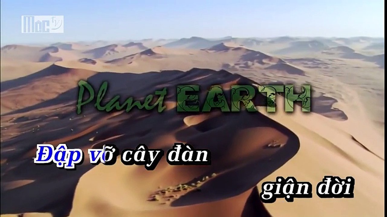31 dap vo cay da