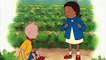Caillou Goes Strawberry Picking