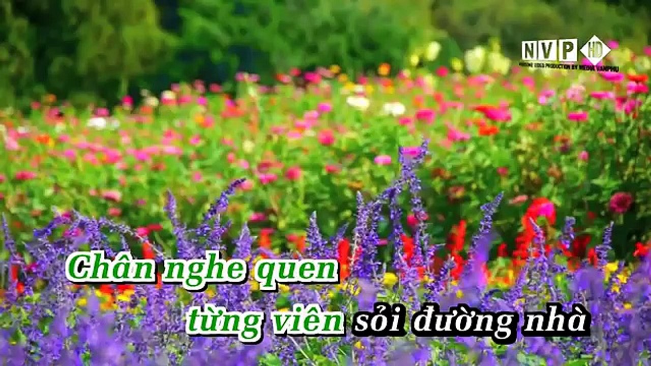46 24 gio phep