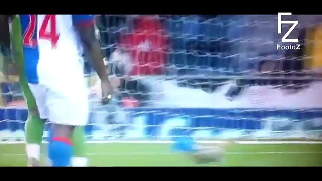 Animals on the Football Pitch ● Funny Moments ● HD