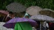 Cherrapunji (India): vivir bajo la lluvia