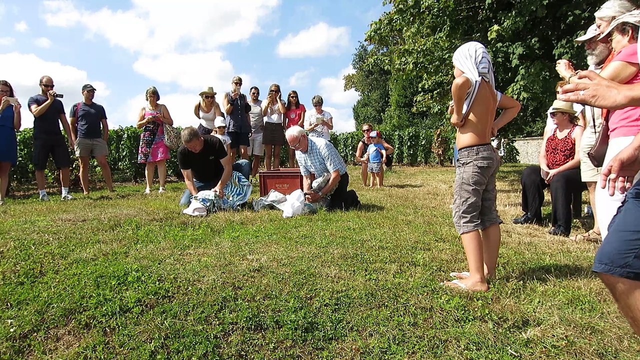 Envol des cigognes à Hautvillers 08-2016