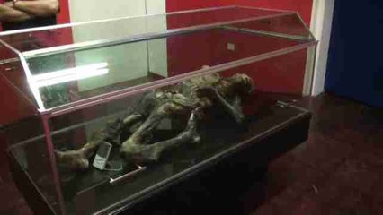 Exhiben misterioso cuerpo momificado hallado en el monte más alto de México