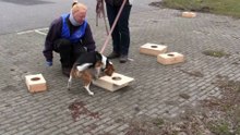 Sjaak zoekles