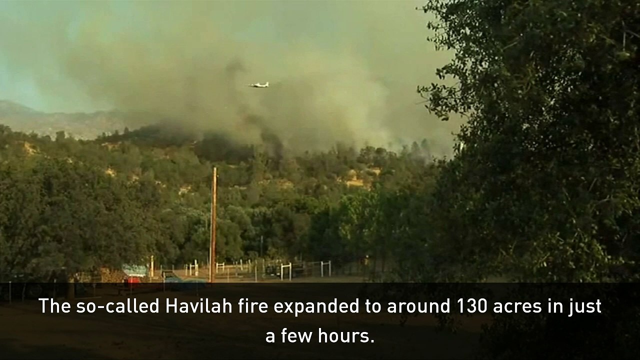 Firefighters tackle wildfire in California