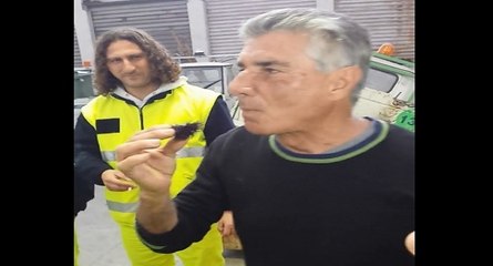 Un fou mange un oursin