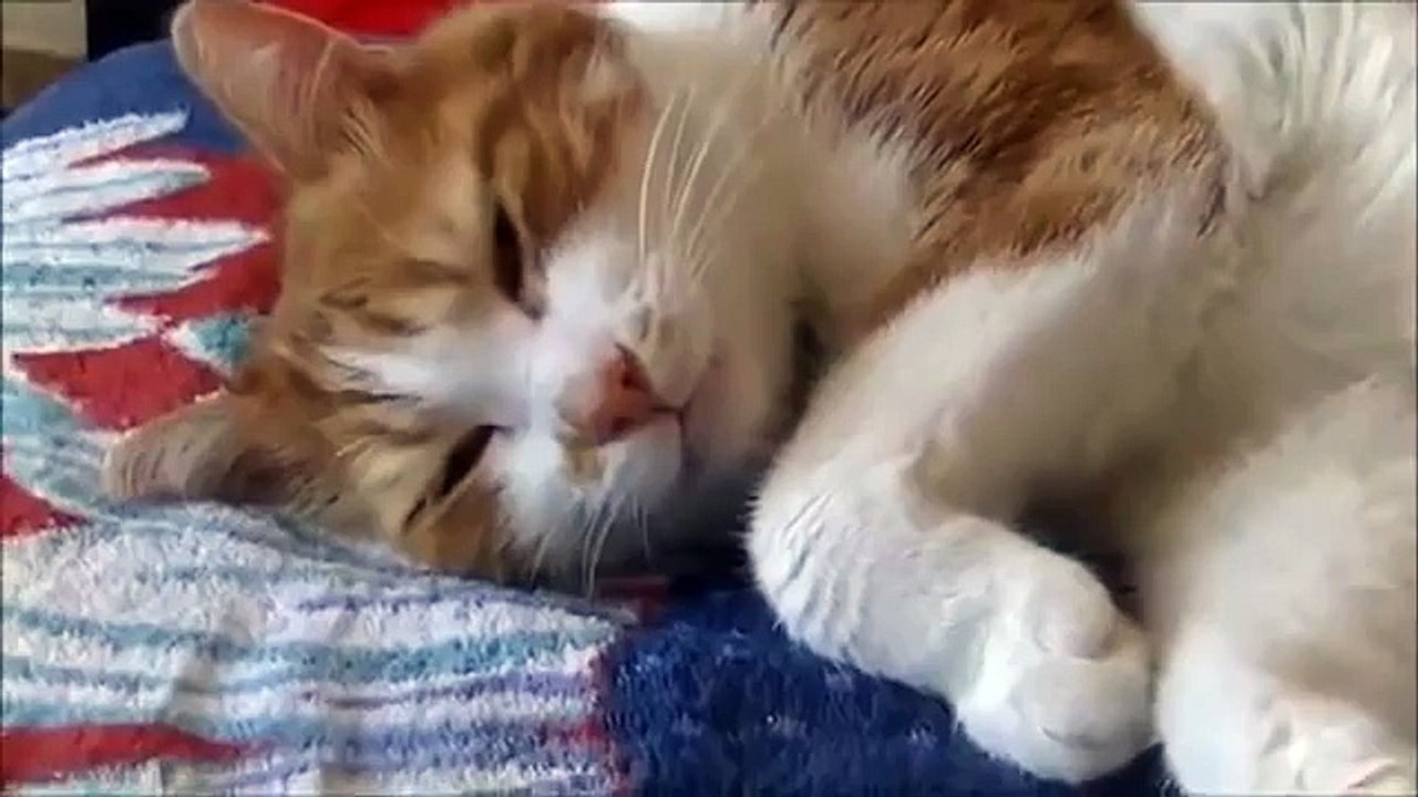 корзиночка - 360p