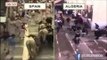 سباق الثيران في الشواراع أم سباق الخنازير في المدارس SPAIN VS ALGERIA
