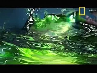 Verdade ou Mito Triângulo das Bermudas