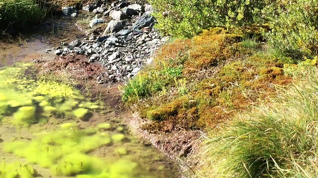 Source du vallon de Clausis et les 360° du vallon