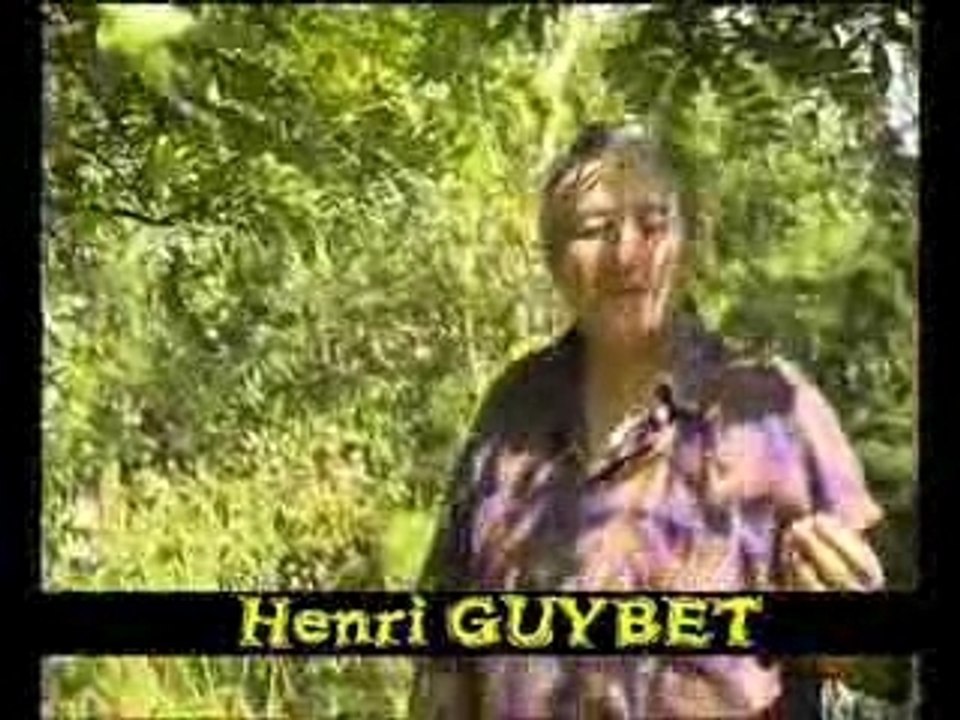 Les Amis de Georges Lautner - série documentaire 52 x 5 min