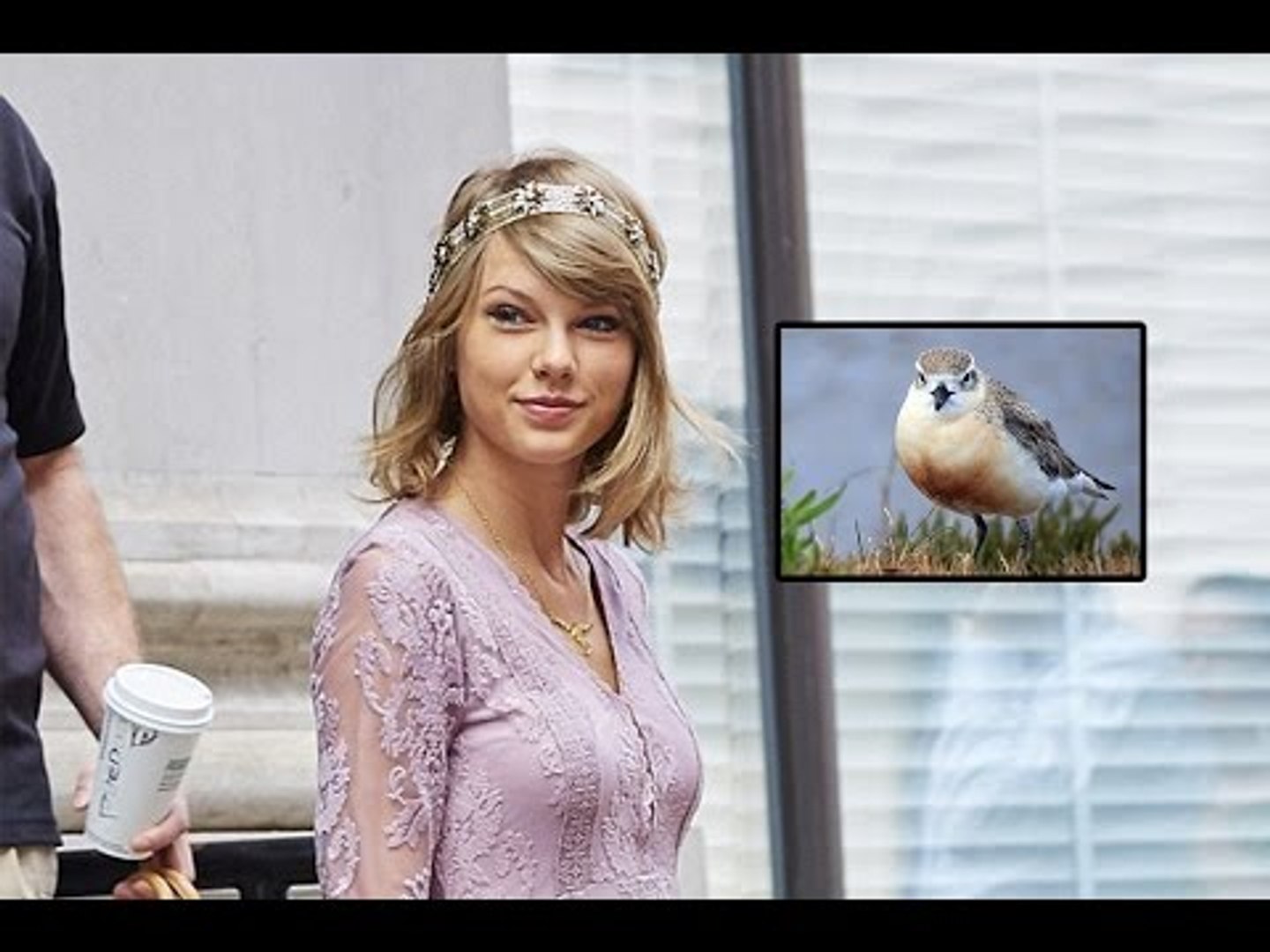 ⁣Taylor Swift SLAMMED For Endangering A Rare Bird Species