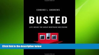 READ book  Busted: Life Inside the Great Mortgage Meltdown  FREE BOOOK ONLINE