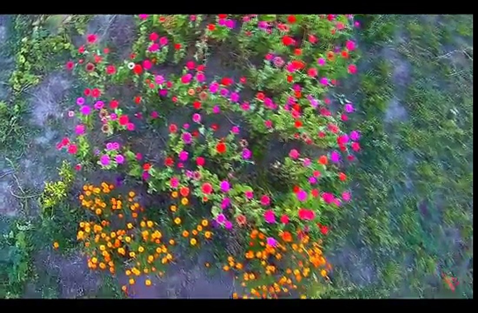 ⁣Олег Скрипка - Україна (ПРЕМ'ЄРА)