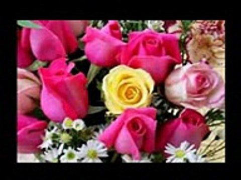 اية إن هذا القرآن يهدي للتي هي أقوم سورة الإسراء الشيخ سيد النقشبندي