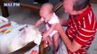Labrador dog and baby play together will make you happy and laugh - Funny dogs and babies videos