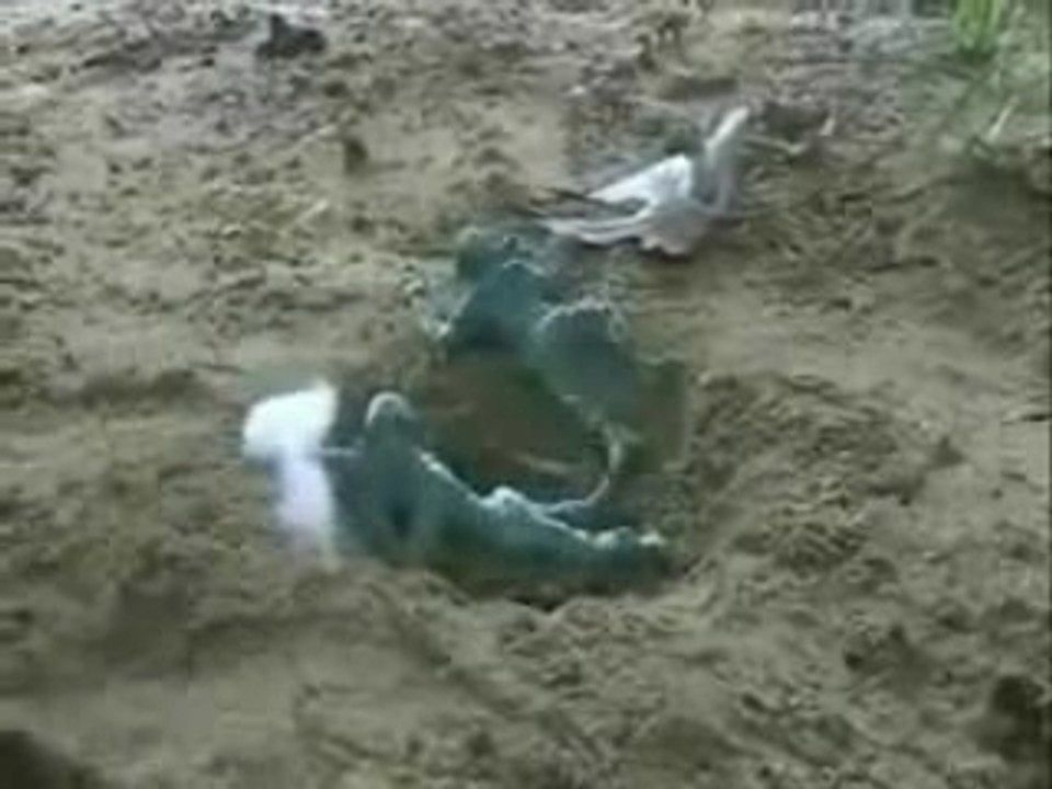 la guerre des soldats en plastique