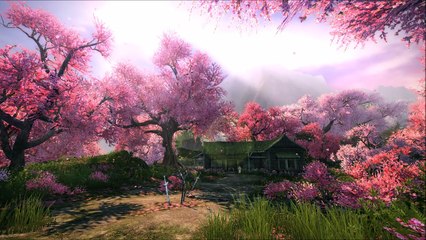 Beautiful Chinese Music - Chronicles of the Hundred Flowers Grave