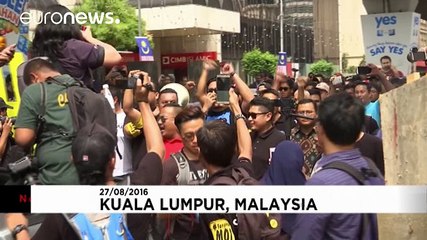 Malaysians protest