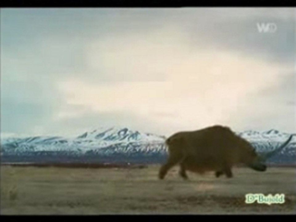 Préhistoric Park epi 2 part 3de3.