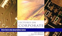 Big Deals  Lectures on Corporate Finance  Best Seller Books Most Wanted