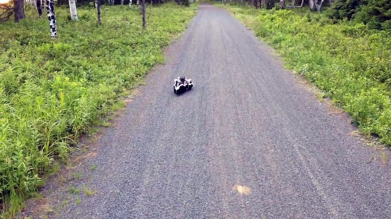 Durante Un'escursione In Bici Fa Un Incontro Inaspettato: Filma Tutto Ma Non Osa Muovere Un Dito...