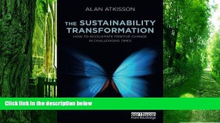 Big Deals  The Sustainability Transformation: How to Accelerate Positive Change in Challenging