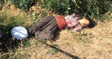 Van'da Biri Kadın 2 Terörist Öldürüldü