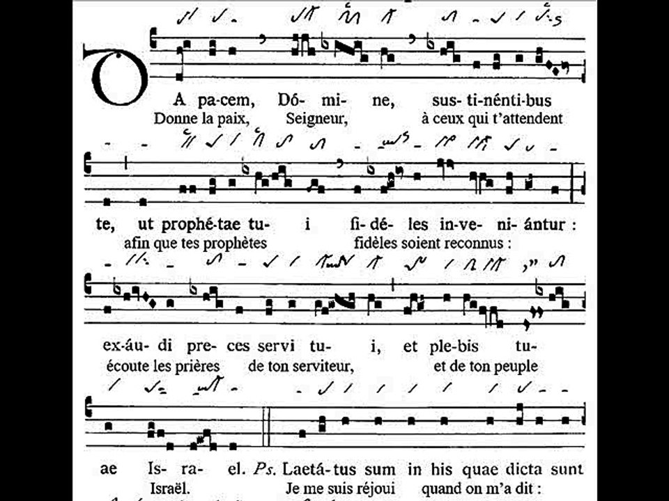 Introitus Da pacem, Dominica XXIV TpA (24 TO)