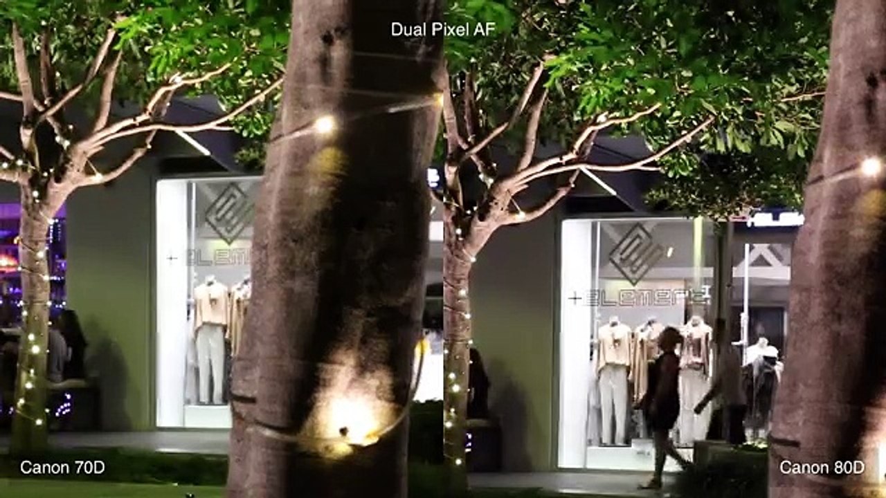 Canon 80D vs Canon 70D - Is it better in low light