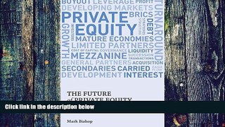 Big Deals  The Future of Private Equity: Beyond the Mega Buyout  Best Seller Books Most Wanted