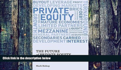 Big Deals  The Future of Private Equity: Beyond the Mega Buyout  Best Seller Books Most Wanted