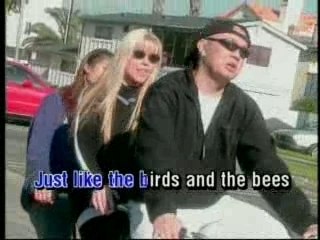 Like the birds,The bees -That tinh, H chuc,Dalena,T quye