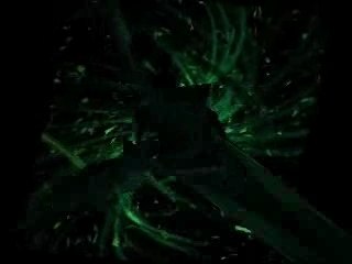 California Speed: New Mix 🚗