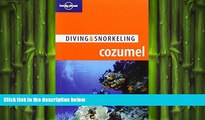 FREE PDF  Lonely Planet Diving   Snorkeling Cozumel (Lonely Planet Diving and Snorkeling Guides)