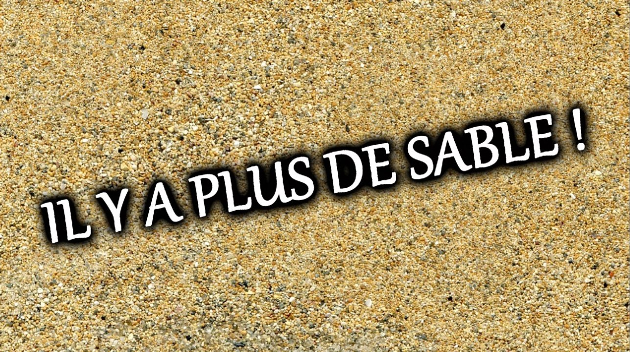 PALÉOWORLD 9 - VERS UNE PÉNURIE DE SABLE ?