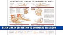 [PDF] Anatomy and Injuries of the Foot and Ankle Popular Online