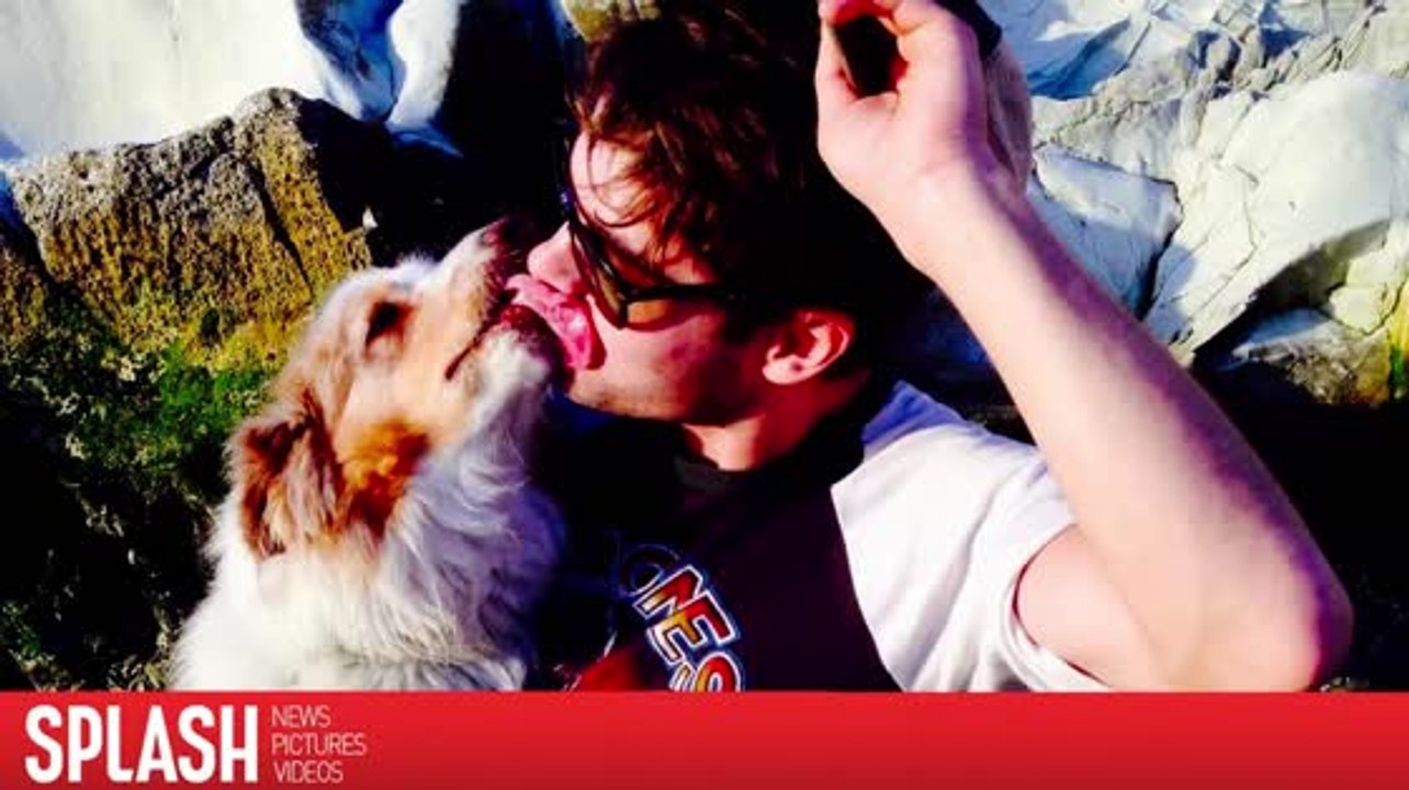 Zac Efrons Hund ist gestorben