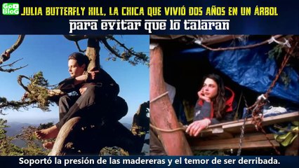 Ce qu'elle fait pour sauver un arbre millénaire de l'abattage est génial !