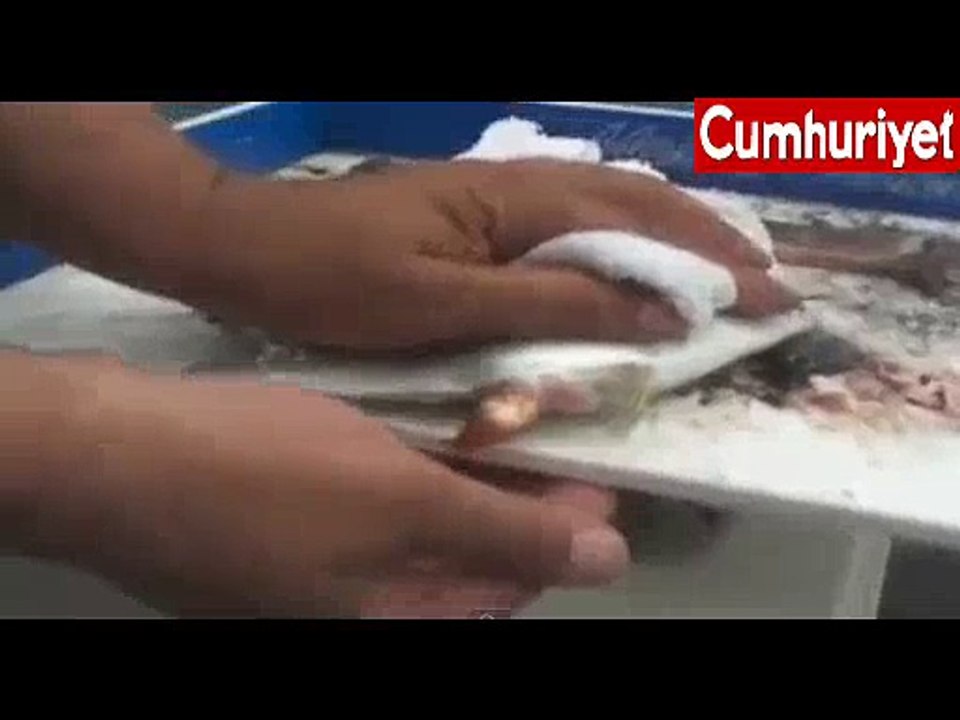 Balığı kendi elleriyle doğurttu